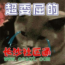 ΢ܛź